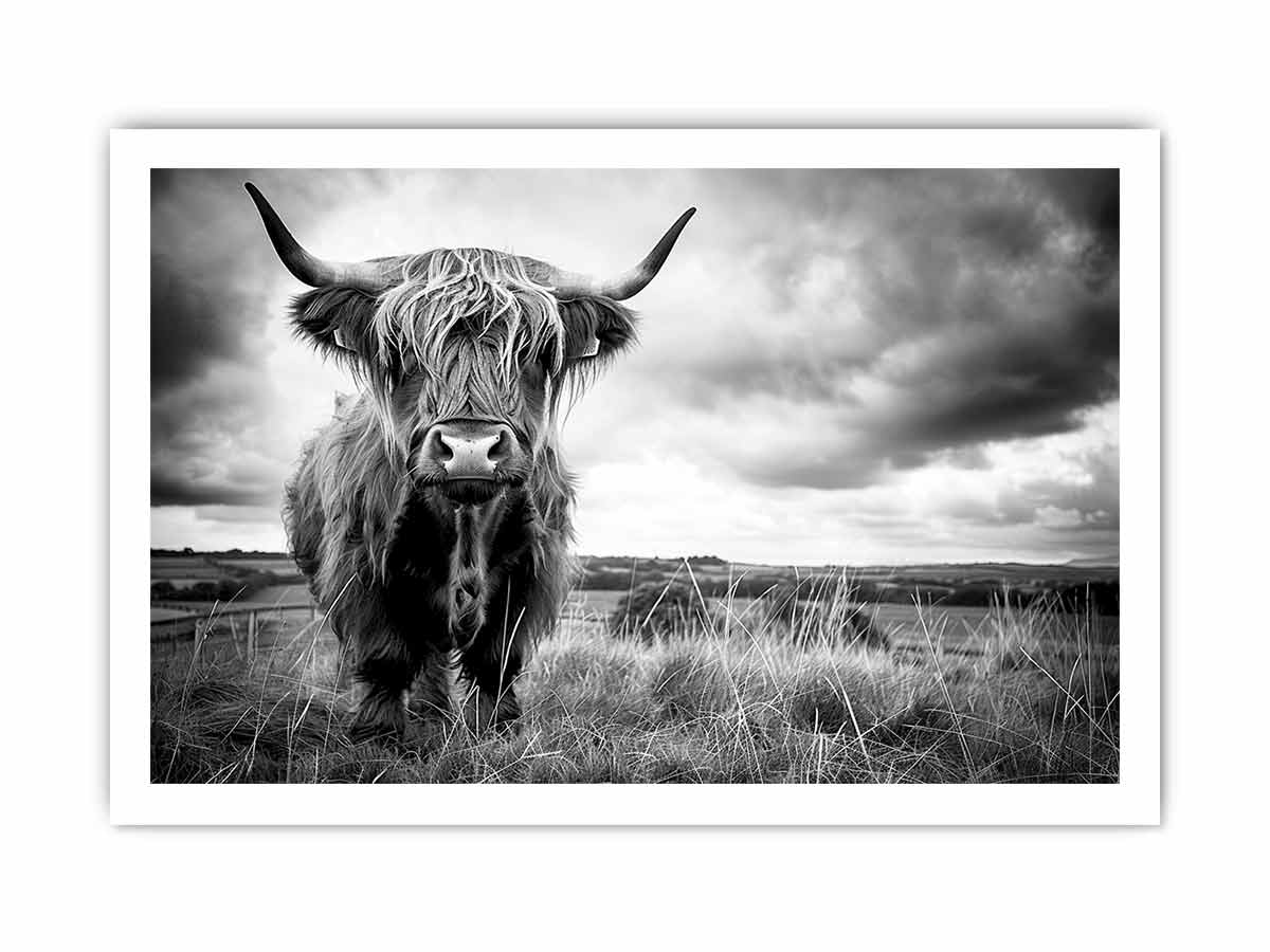 Stormy The Highland Cow Canvas Painting