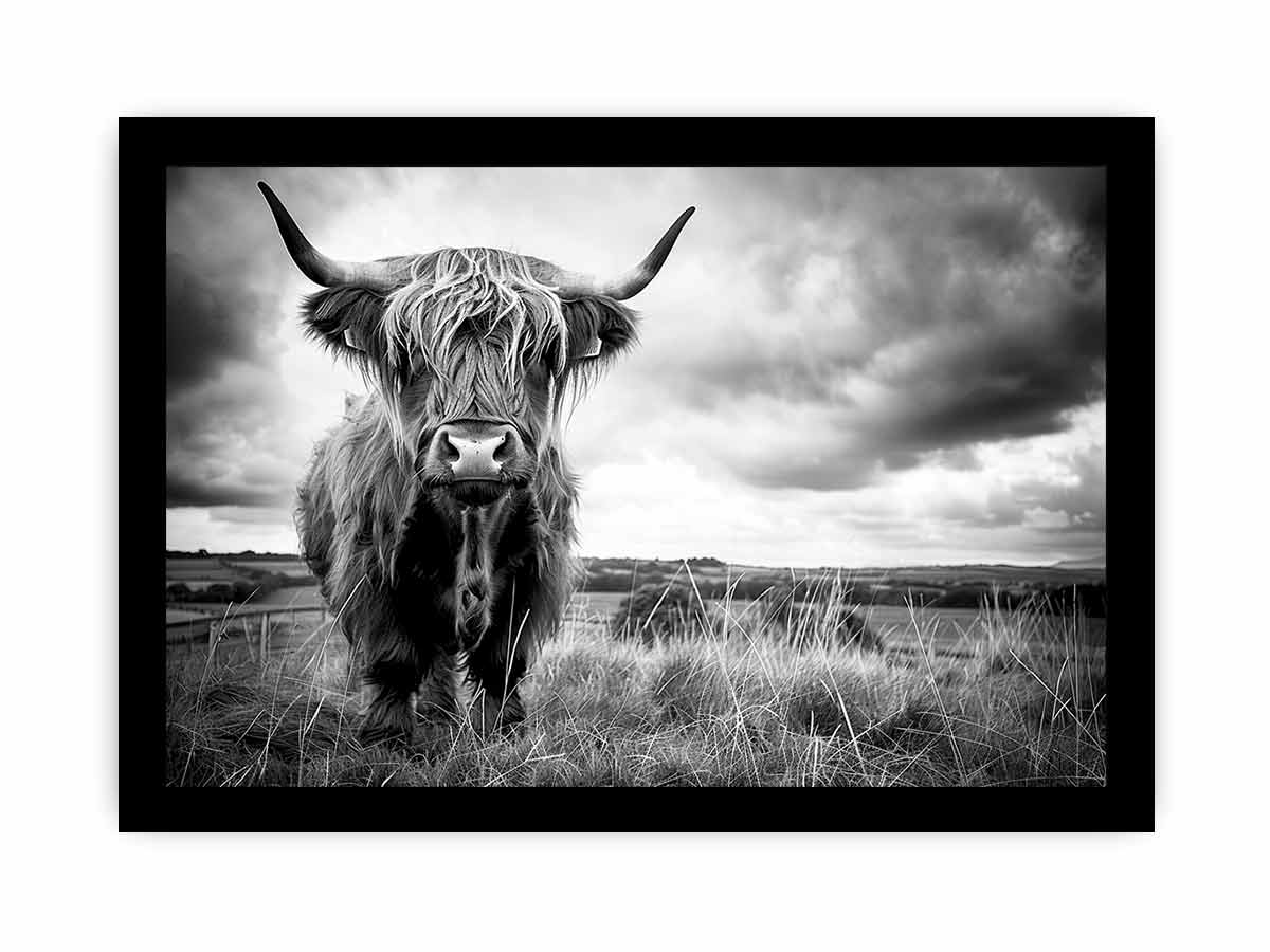 Stormy The Highland Cow Canvas Painting