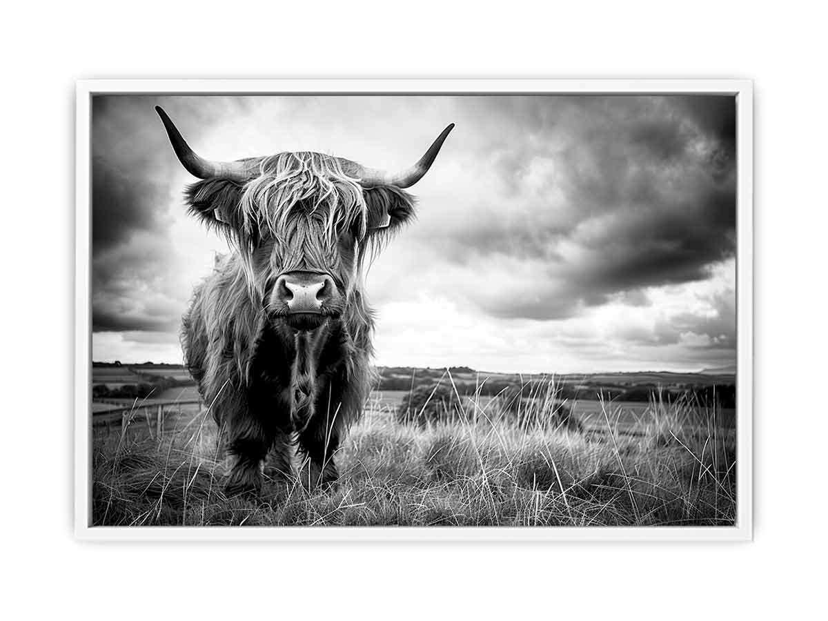 Stormy The Highland Cow Canvas Painting
